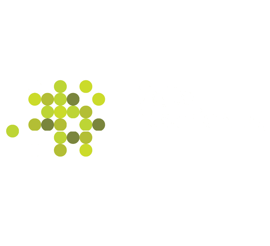 Spiro_Digital_Experientia
